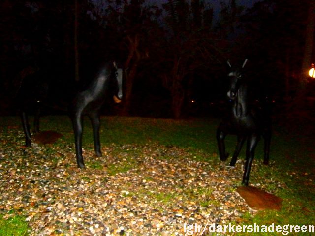 ?????????????? OLYMPUS DIGITAL CAMERA