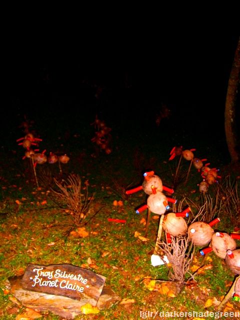 ??????????????5OLYMPUS DIGITAL CAMERA