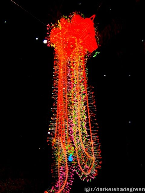 ??????????????5OLYMPUS DIGITAL CAMERA