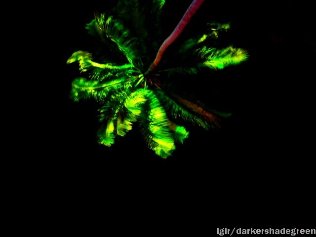 ?????????????? OLYMPUS DIGITAL CAMERA