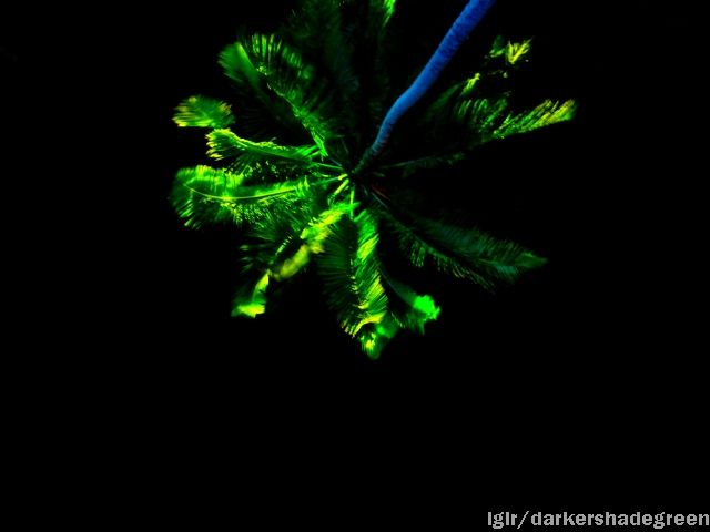 ?????????????? OLYMPUS DIGITAL CAMERA