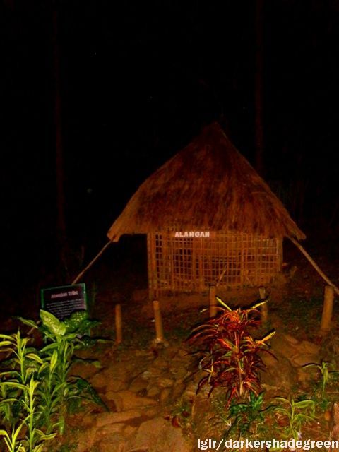 ??????????????5OLYMPUS DIGITAL CAMERA