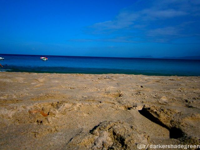 ?????????????? OLYMPUS DIGITAL CAMERA