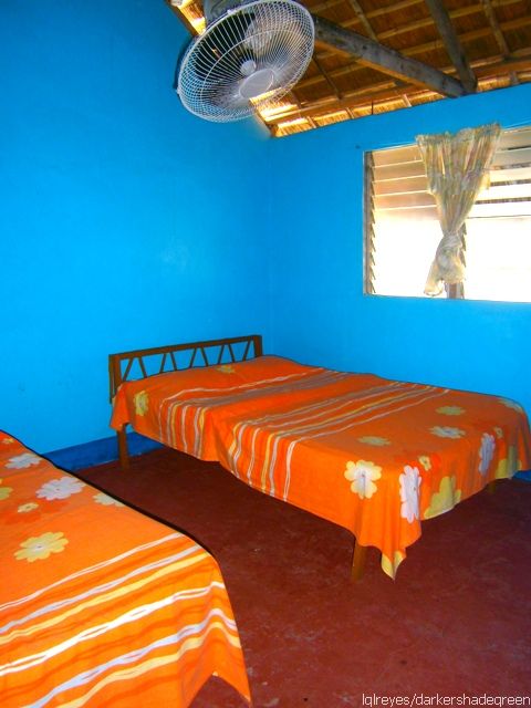 ??????????????5OLYMPUS DIGITAL CAMERA