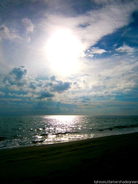 ??????????????5OLYMPUS DIGITAL CAMERA