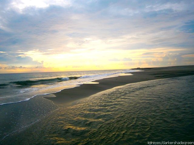 ?????????????? OLYMPUS DIGITAL CAMERA