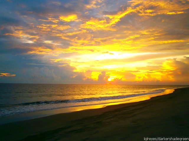 ?????????????? OLYMPUS DIGITAL CAMERA