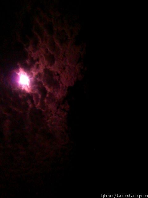 ??????????????5OLYMPUS DIGITAL CAMERA