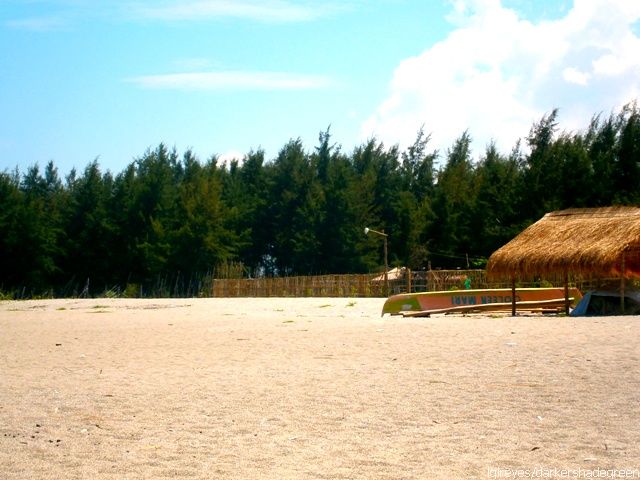 ?????????????? OLYMPUS DIGITAL CAMERA