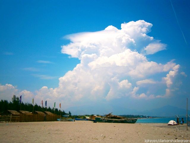 ?????????????? OLYMPUS DIGITAL CAMERA