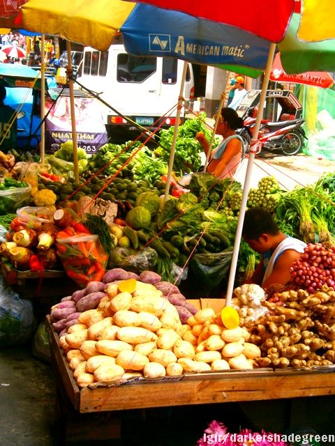 ??????????????5OLYMPUS DIGITAL CAMERA