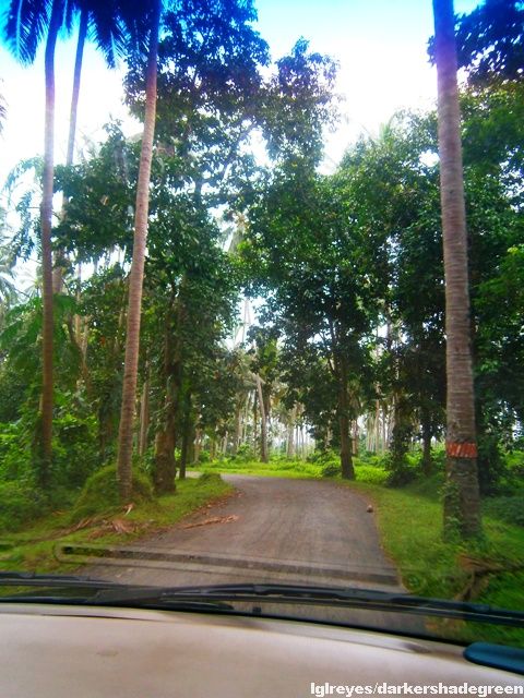 ??????????????5OLYMPUS DIGITAL CAMERA