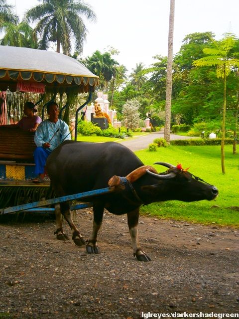 ??????????????5OLYMPUS DIGITAL CAMERA