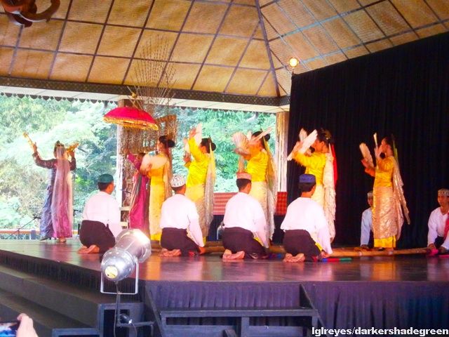 ?????????????? OLYMPUS DIGITAL CAMERA