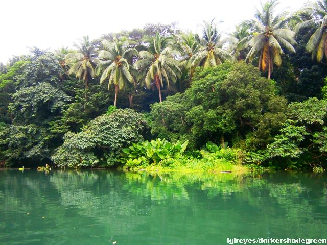 ?????????????? OLYMPUS DIGITAL CAMERA