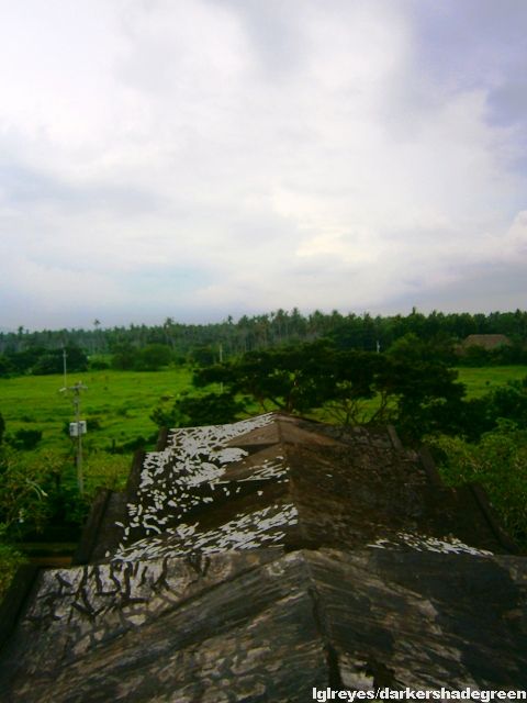 ??????????????5OLYMPUS DIGITAL CAMERA