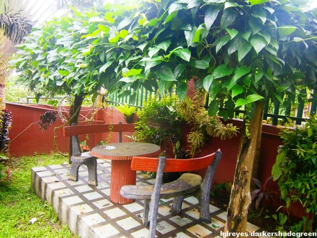 ?????????????? OLYMPUS DIGITAL CAMERA