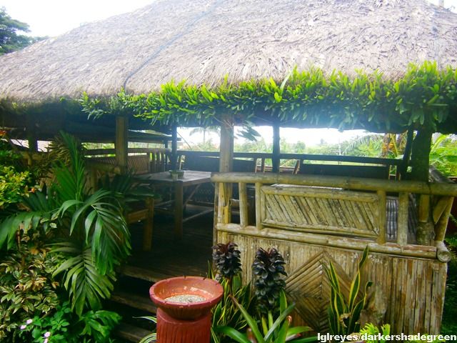 ?????????????? OLYMPUS DIGITAL CAMERA