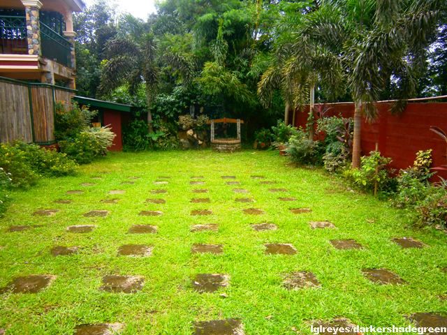 ?????????????? OLYMPUS DIGITAL CAMERA