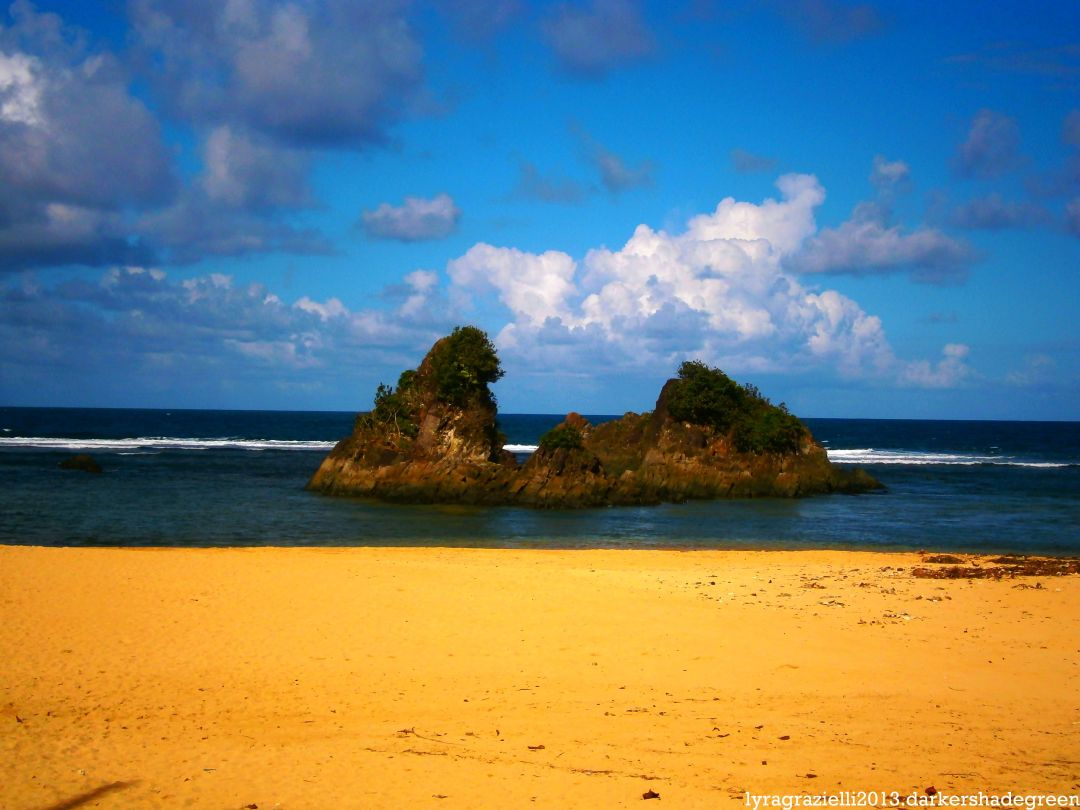 ?????????????? OLYMPUS DIGITAL CAMERA