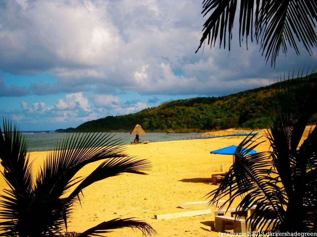 ?????????????? OLYMPUS DIGITAL CAMERA