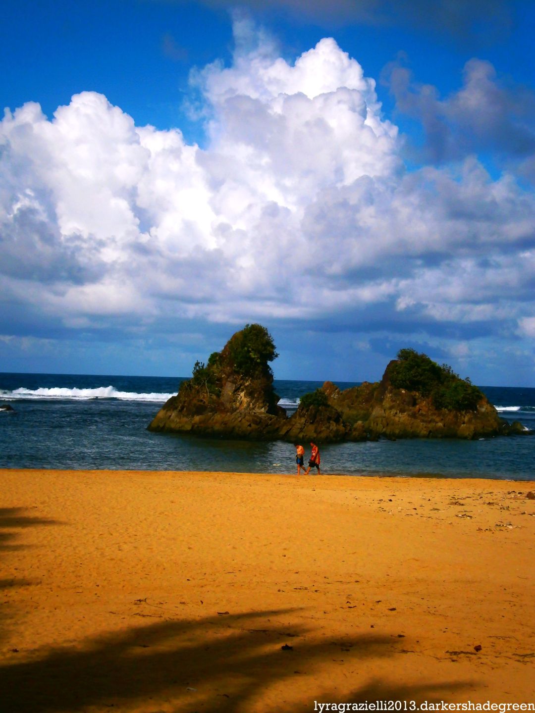 ??????????????5OLYMPUS DIGITAL CAMERA