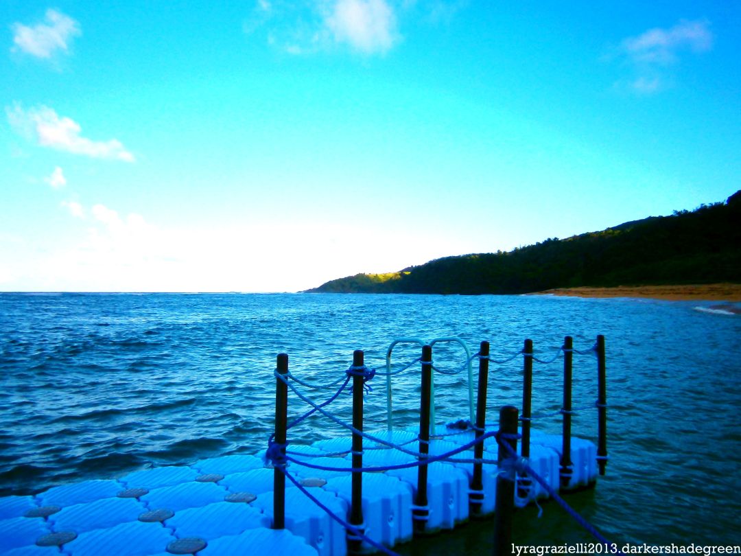 ?????????????? OLYMPUS DIGITAL CAMERA