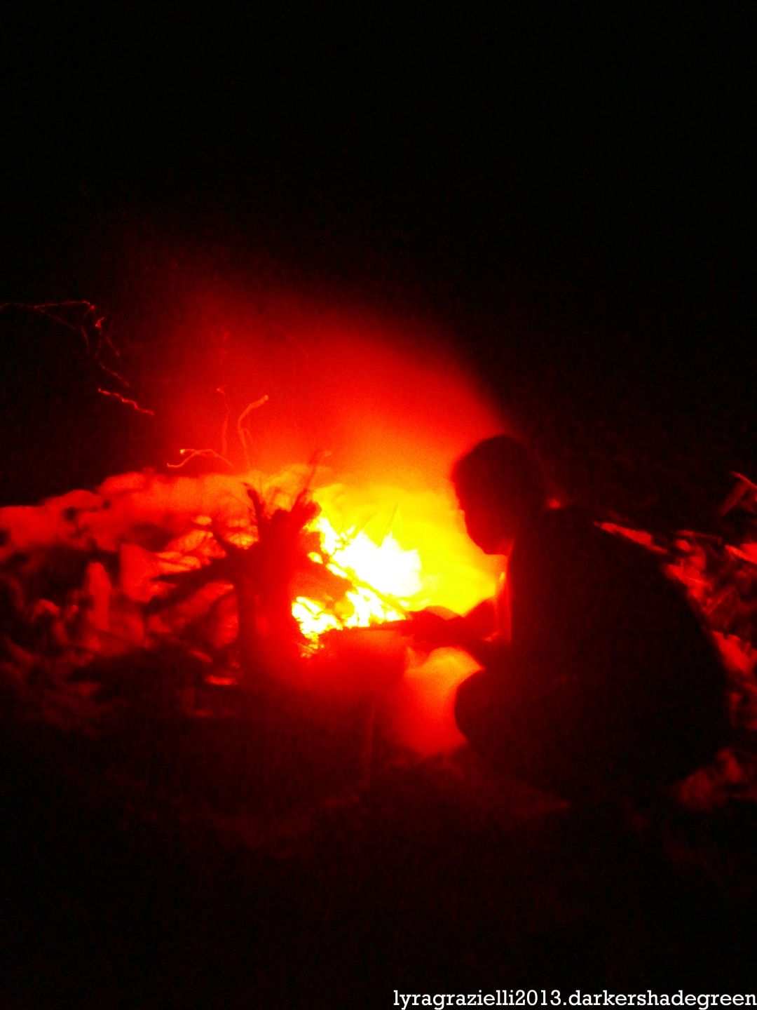 ??????????????5OLYMPUS DIGITAL CAMERA