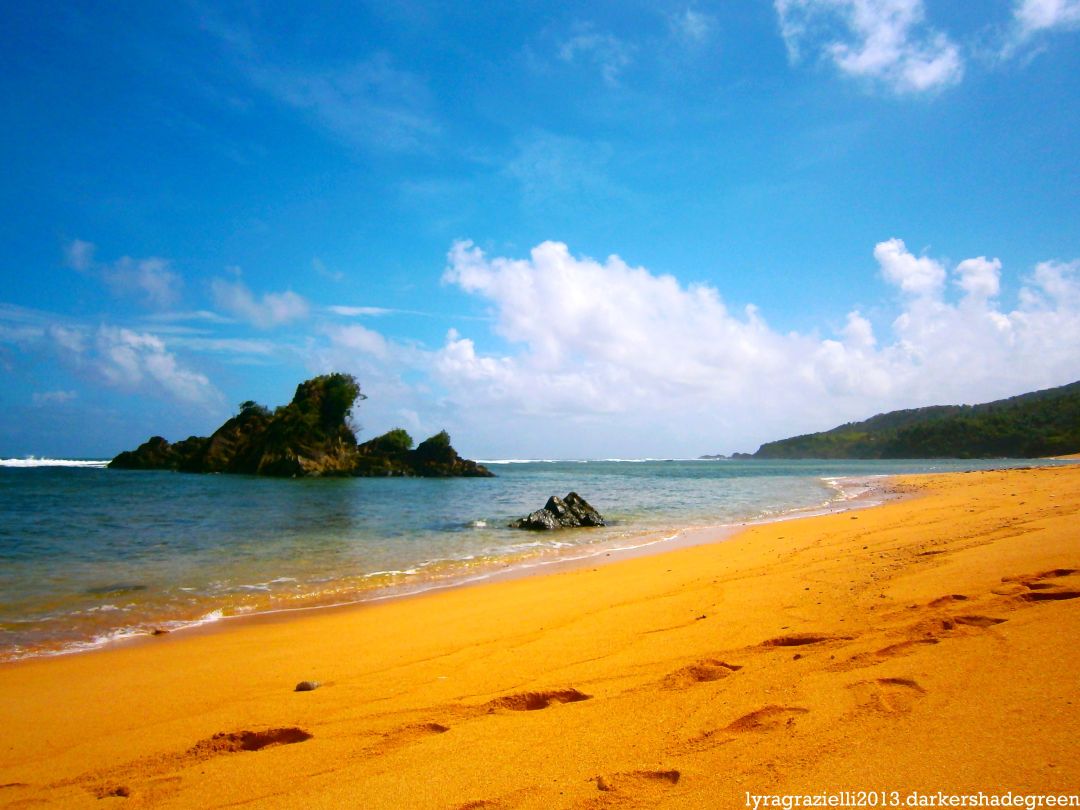 ?????????????? OLYMPUS DIGITAL CAMERA