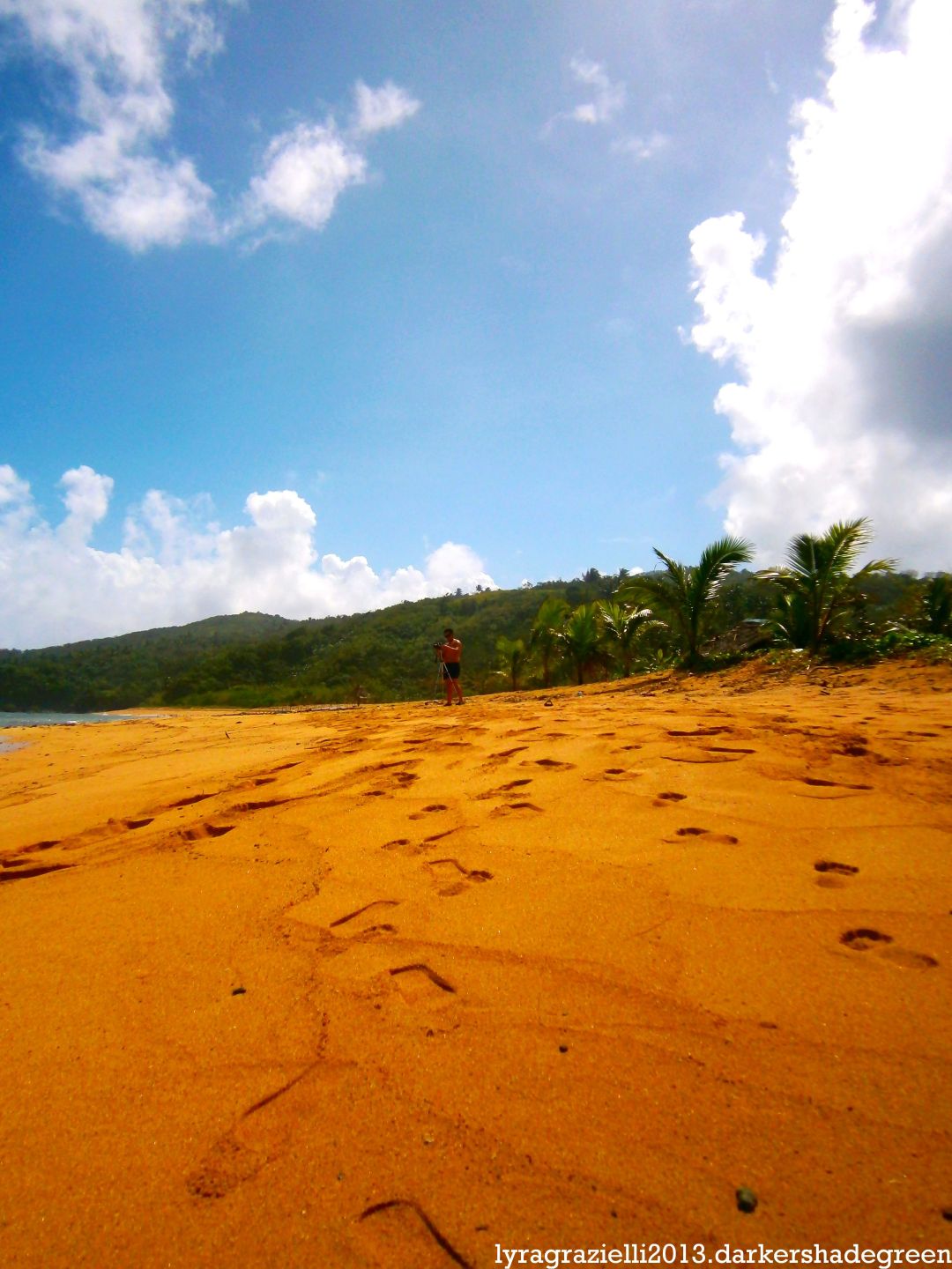 ??????????????5OLYMPUS DIGITAL CAMERA