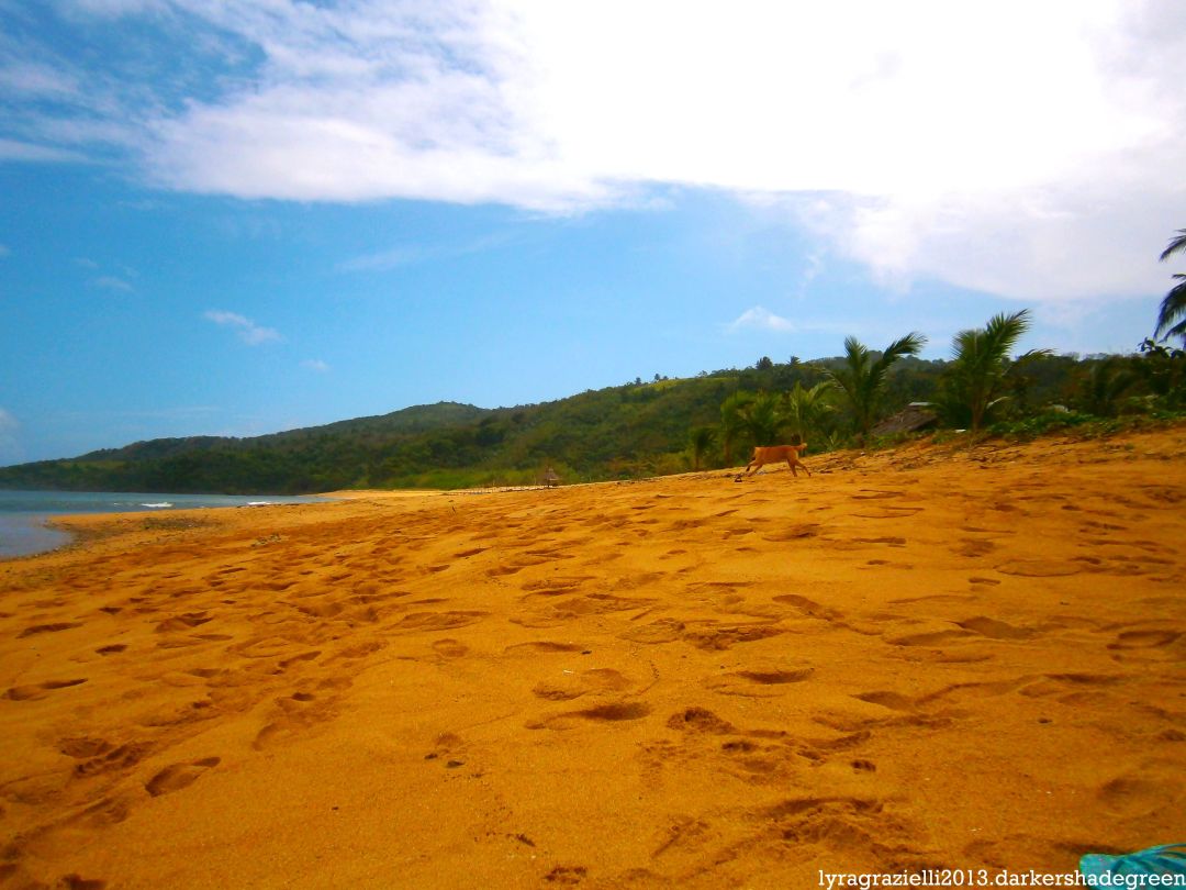 ?????????????? OLYMPUS DIGITAL CAMERA