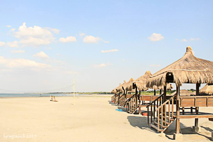 11146593_10204017192412107_3470205966793968702_n