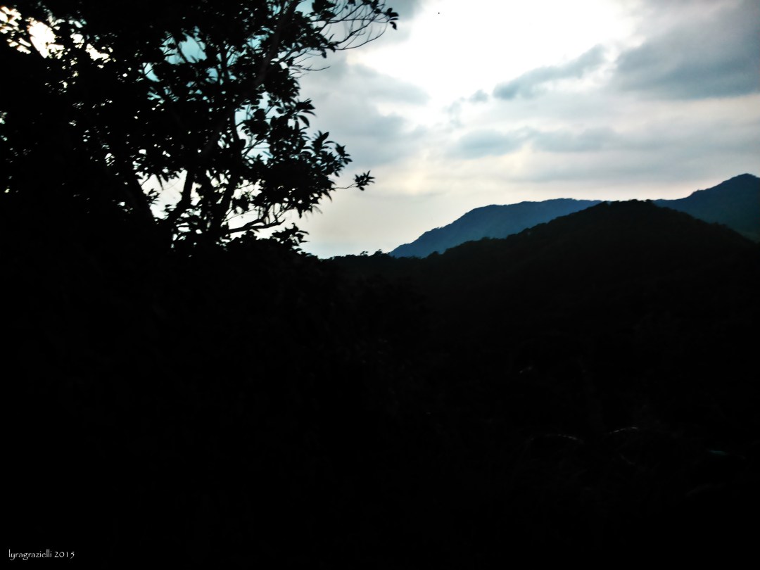 The mandatory silhoutte-y artsy shot