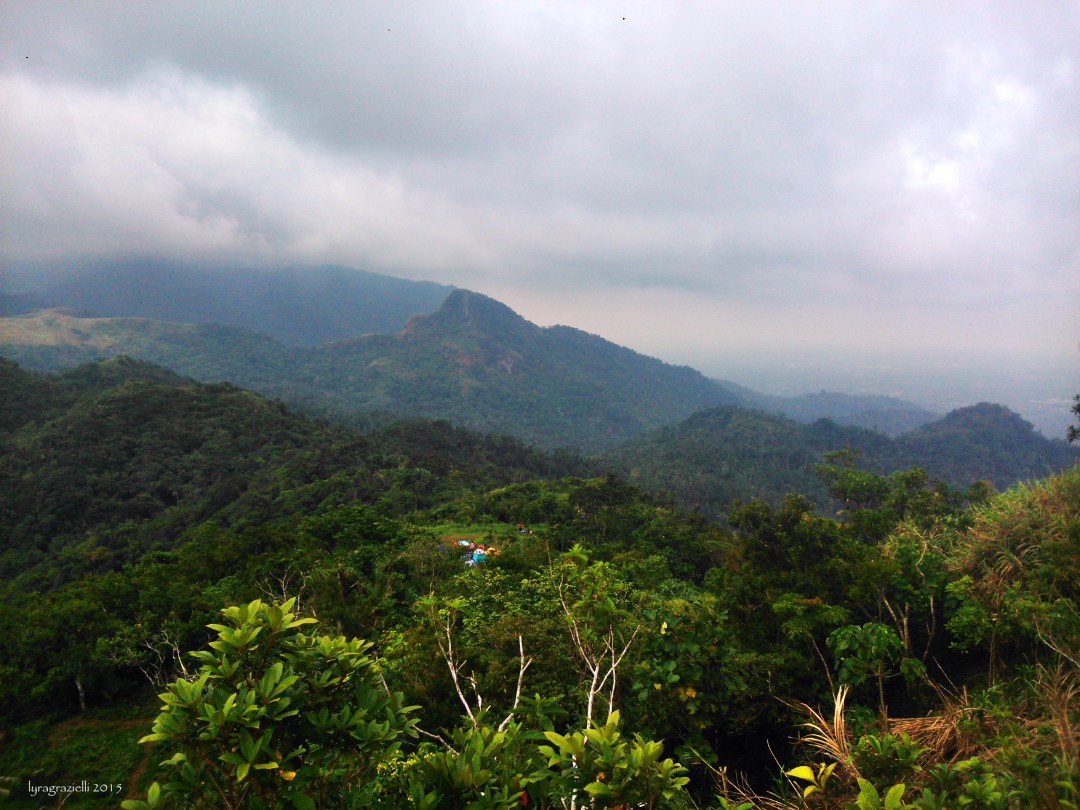 And still another one