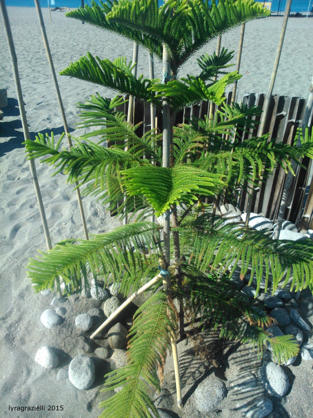 You're not supposed to be here...