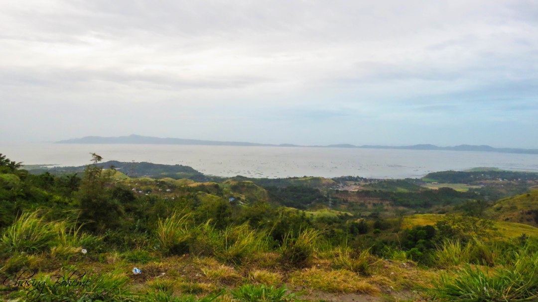 ChasingBoheme_PililliaWIndmills_5