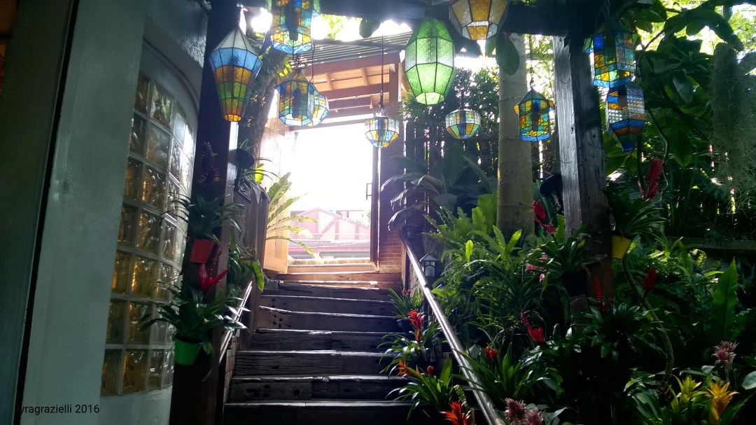 WP_20160323_09_36_15_Pro