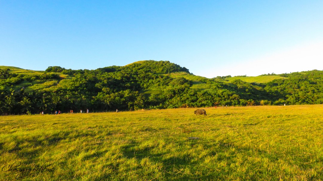 chasingboheme_calaguas_12