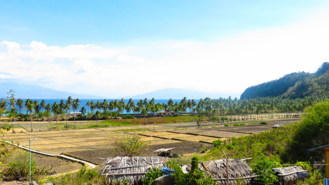 chasingboheme_tingloy_6